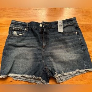 NWT Ann Taylor Loft cut off denim shorts size30 (petite inseam)
